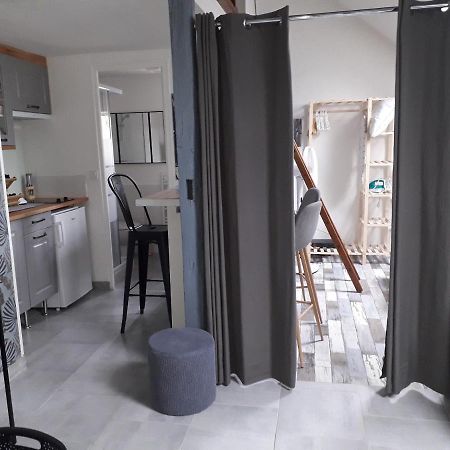 Loft Haut De Gamme Centre Montargis, Place De Parking, Local A Velos, Linge De Lits Et Serviettes, Coin Riviere Amenage, Hamac, Epicerie, Velos En Option, Tout Confort Jusqu'A 4 Voyageurs エクステリア 写真
