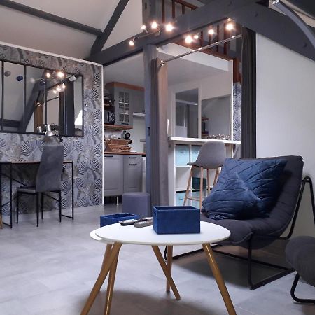 Loft Haut De Gamme Centre Montargis, Place De Parking, Local A Velos, Linge De Lits Et Serviettes, Coin Riviere Amenage, Hamac, Epicerie, Velos En Option, Tout Confort Jusqu'A 4 Voyageurs エクステリア 写真