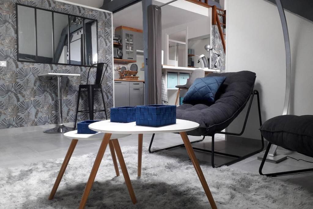 Loft Haut De Gamme Centre Montargis, Place De Parking, Local A Velos, Linge De Lits Et Serviettes, Coin Riviere Amenage, Hamac, Epicerie, Velos En Option, Tout Confort Jusqu'A 4 Voyageurs エクステリア 写真