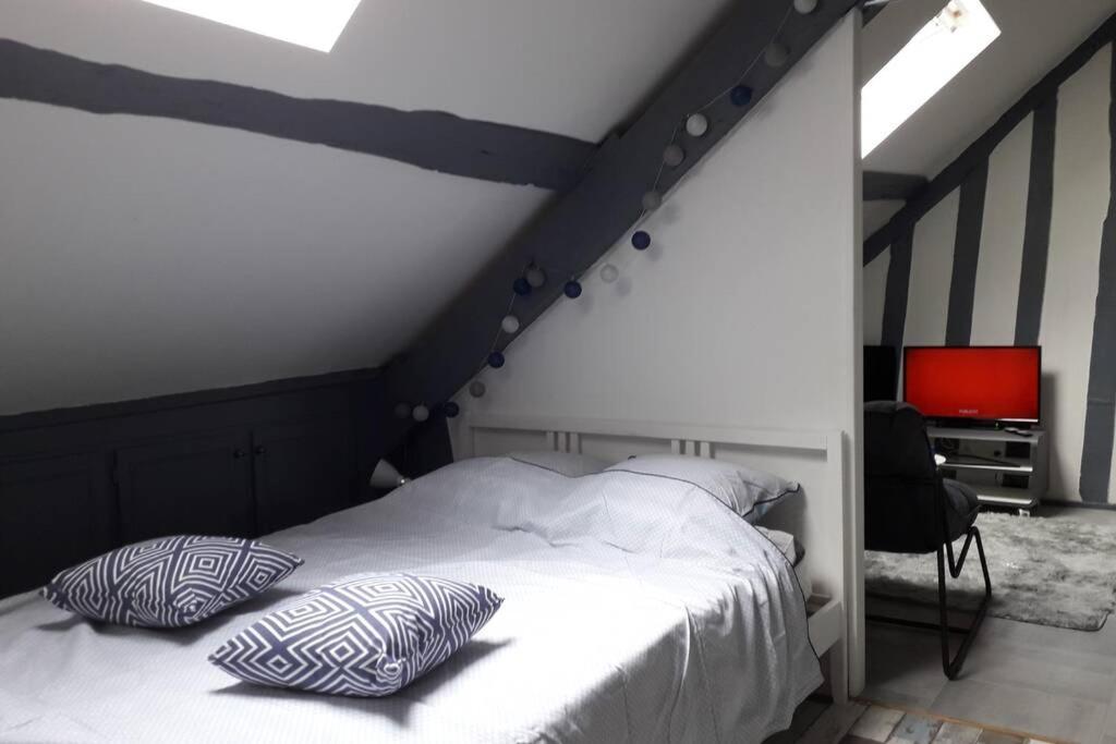 Loft Haut De Gamme Centre Montargis, Place De Parking, Local A Velos, Linge De Lits Et Serviettes, Coin Riviere Amenage, Hamac, Epicerie, Velos En Option, Tout Confort Jusqu'A 4 Voyageurs エクステリア 写真