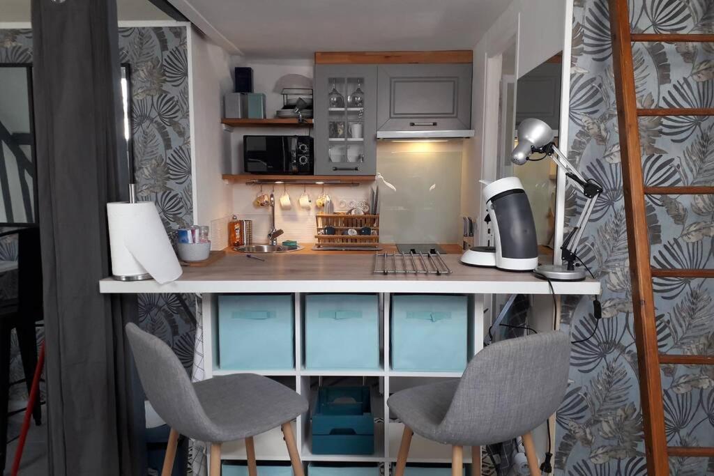 Loft Haut De Gamme Centre Montargis, Place De Parking, Local A Velos, Linge De Lits Et Serviettes, Coin Riviere Amenage, Hamac, Epicerie, Velos En Option, Tout Confort Jusqu'A 4 Voyageurs エクステリア 写真