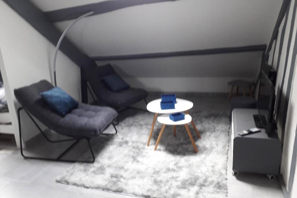 Loft Haut De Gamme Montargis Centre 1 A 4 Personnes Climatisation, Parking, Linge, Wifi, Hamac, Garage A Velos, Velos En Option エクステリア 写真