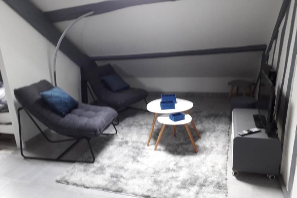 Loft Haut De Gamme Centre Montargis, Place De Parking, Local A Velos, Linge De Lits Et Serviettes, Coin Riviere Amenage, Hamac, Epicerie, Velos En Option, Tout Confort Jusqu'A 4 Voyageurs エクステリア 写真
