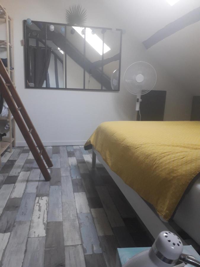 Loft Haut De Gamme Montargis Centre 1 A 4 Personnes Climatisation, Parking, Linge, Wifi, Hamac, Garage A Velos, Velos En Option エクステリア 写真