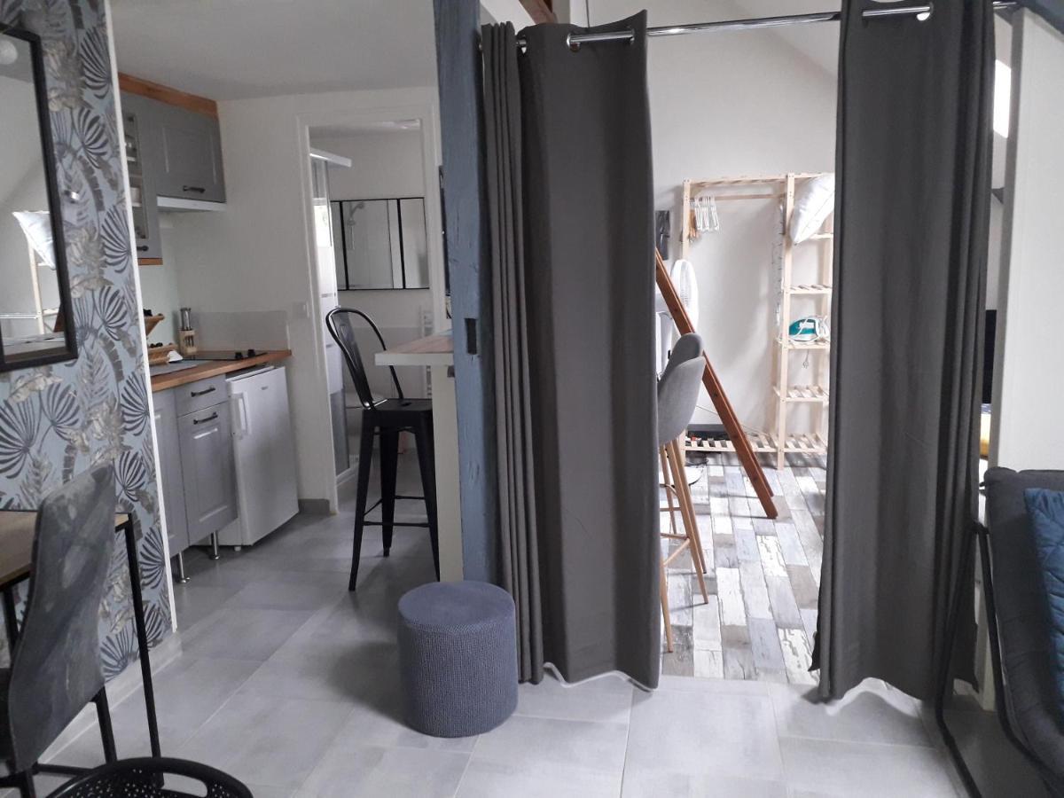 Loft Haut De Gamme Centre Montargis, Place De Parking, Local A Velos, Linge De Lits Et Serviettes, Coin Riviere Amenage, Hamac, Epicerie, Velos En Option, Tout Confort Jusqu'A 4 Voyageurs エクステリア 写真