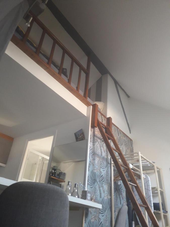 Loft Haut De Gamme Centre Montargis, Place De Parking, Local A Velos, Linge De Lits Et Serviettes, Coin Riviere Amenage, Hamac, Epicerie, Velos En Option, Tout Confort Jusqu'A 4 Voyageurs エクステリア 写真