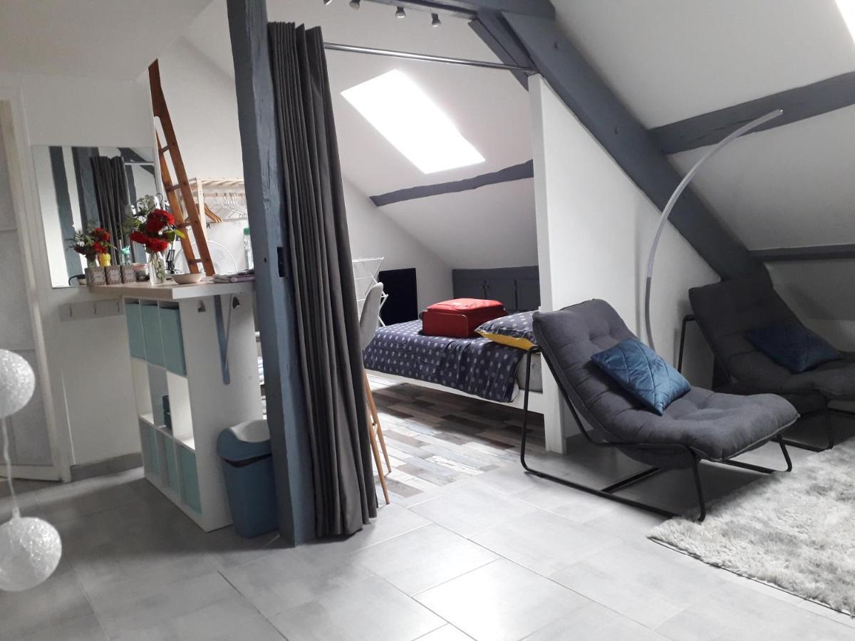 Loft Haut De Gamme Montargis Centre 1 A 4 Personnes Climatisation, Parking, Linge, Wifi, Hamac, Garage A Velos, Velos En Option エクステリア 写真